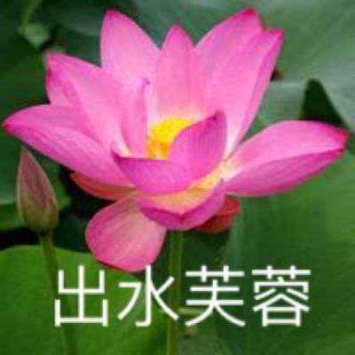 京剧猫格斗破解版下载